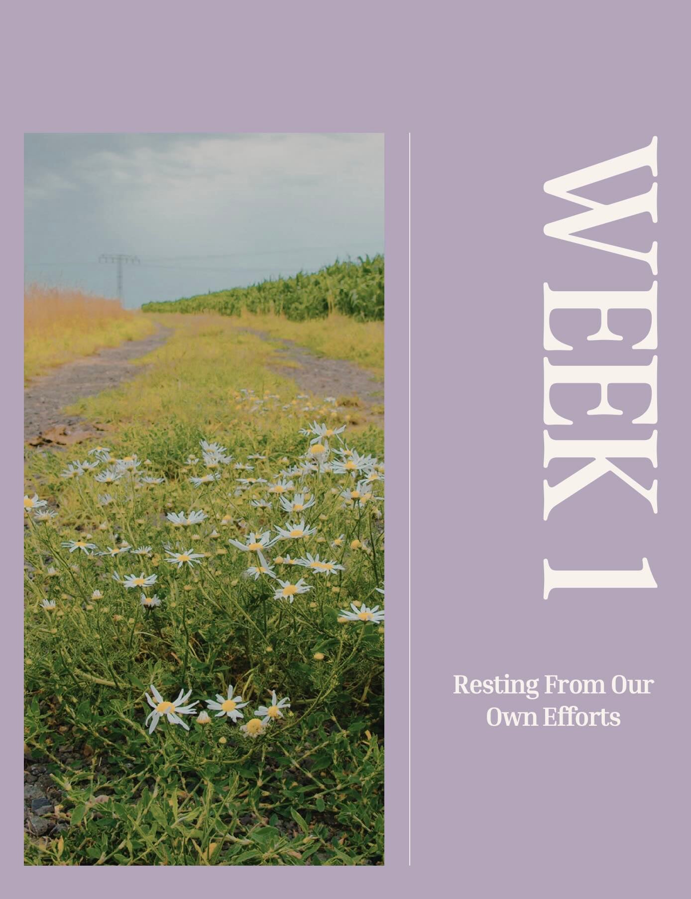 LO Study: A Rest That Remains